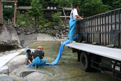 山女魚の稚魚の放流