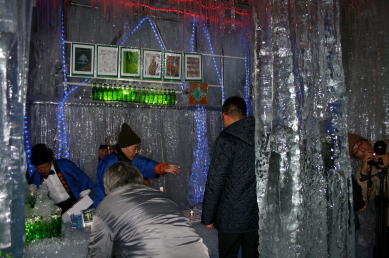 新平湯温泉　タルマかねこおりライトアップ