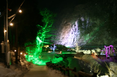 奥飛騨樹林帯タルマかねこおりライトアップ