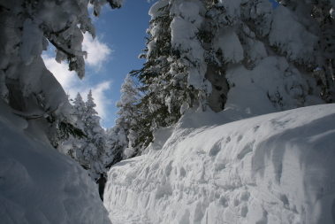 千石園地、雪の回廊