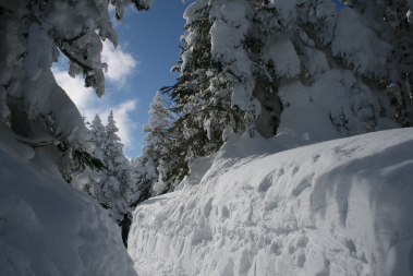 千石園地、雪の回廊