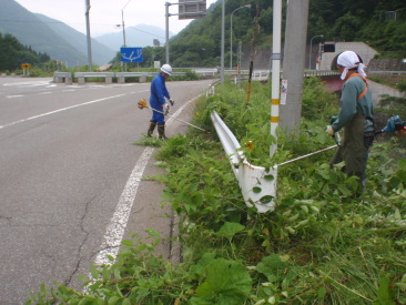県道の草刈