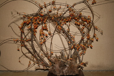 ツルウメモドキ