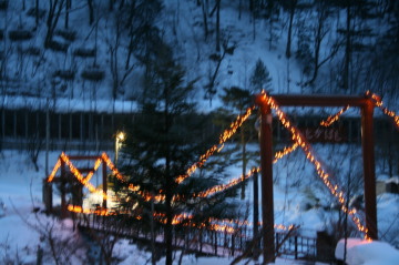 またまた雪です。