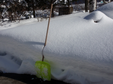 すごい積雪