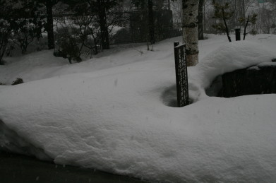 半分ほどの積雪