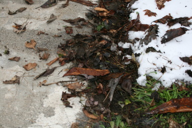 おそらく「テン」・・・