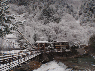 またまた、雪。