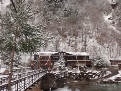 またまた雪です