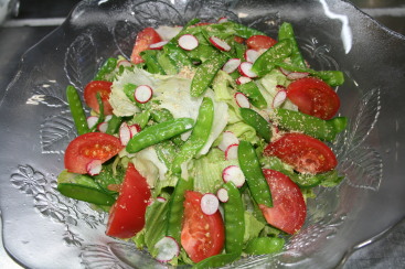 キヌサヤと二十日大根