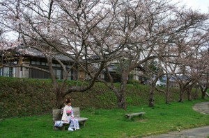 高山市久美愛病院近く緑地公園の桜