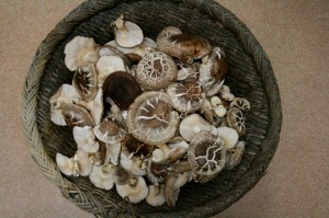 冬茹（どんこ）椎茸