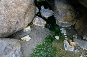 蒲田川　大岩の隙間から出ている温泉