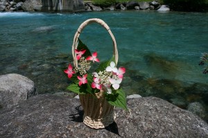 藤（とう）の一輪挿し