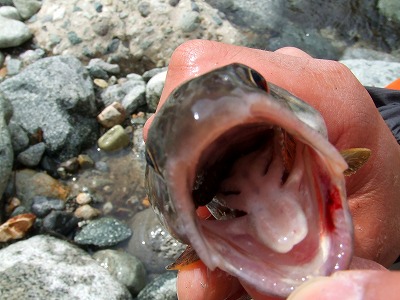 2013_0410_095801-DSCF1173