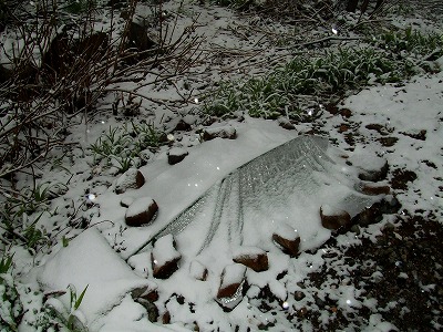 ビニールシート