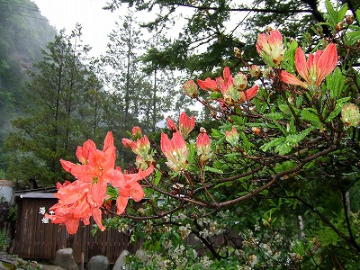 2013_0529_113652-DSCF1323