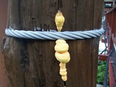 マスタケ奥飛騨深山荘