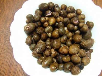 むかご奥飛騨温泉郷深山荘