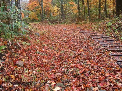 高山市奥飛騨温泉郷新穂高温泉深山荘