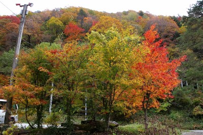 高山市奥飛騨温泉郷新穂高温泉深山荘