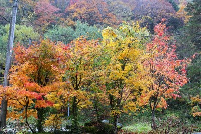 高山市奥飛騨温泉郷新穂高温泉深山荘