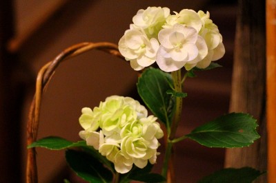 高山市奥飛騨温泉郷新穂高温泉深山荘